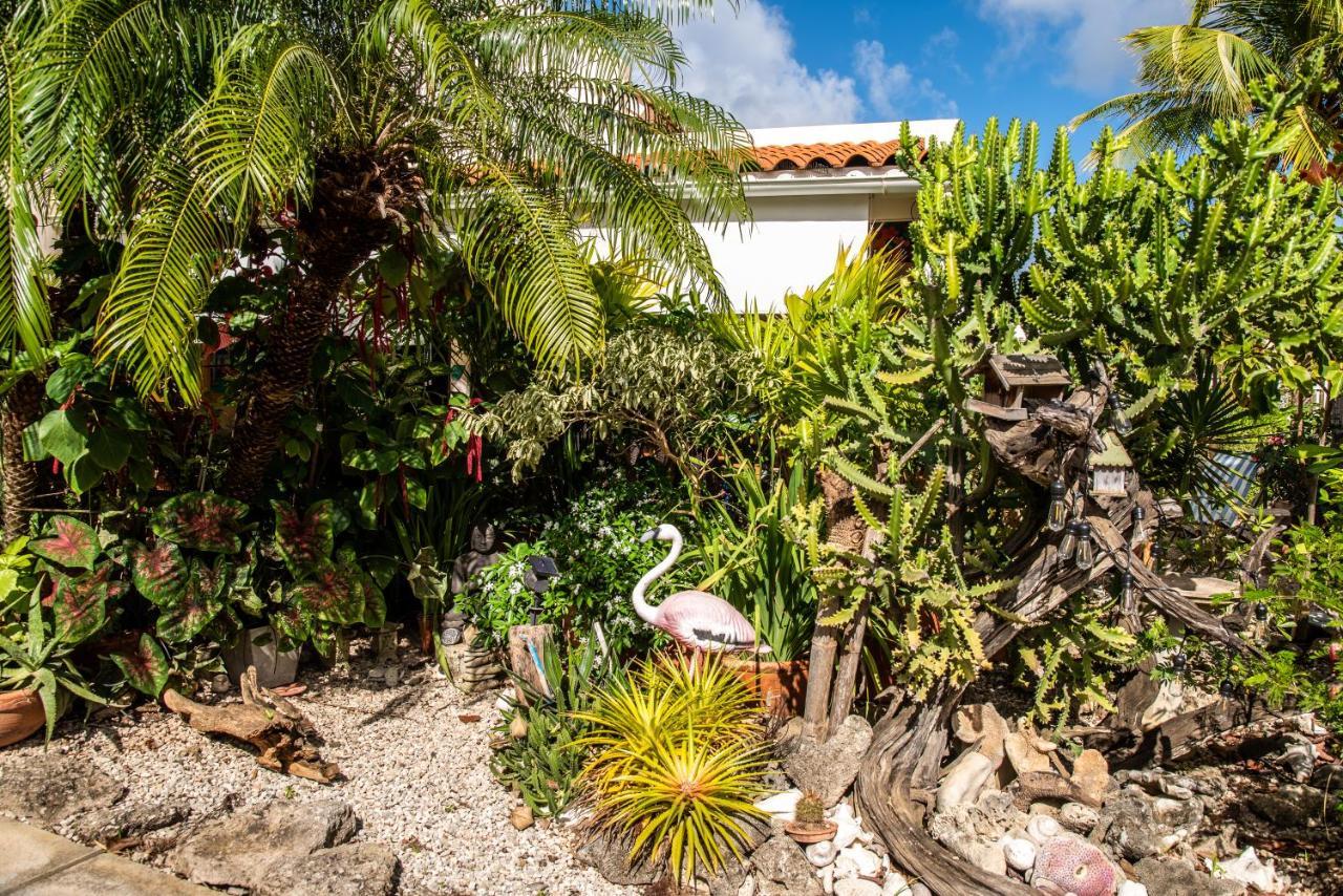 Hamlet Oasis Resort Kralendijk  Bagian luar foto