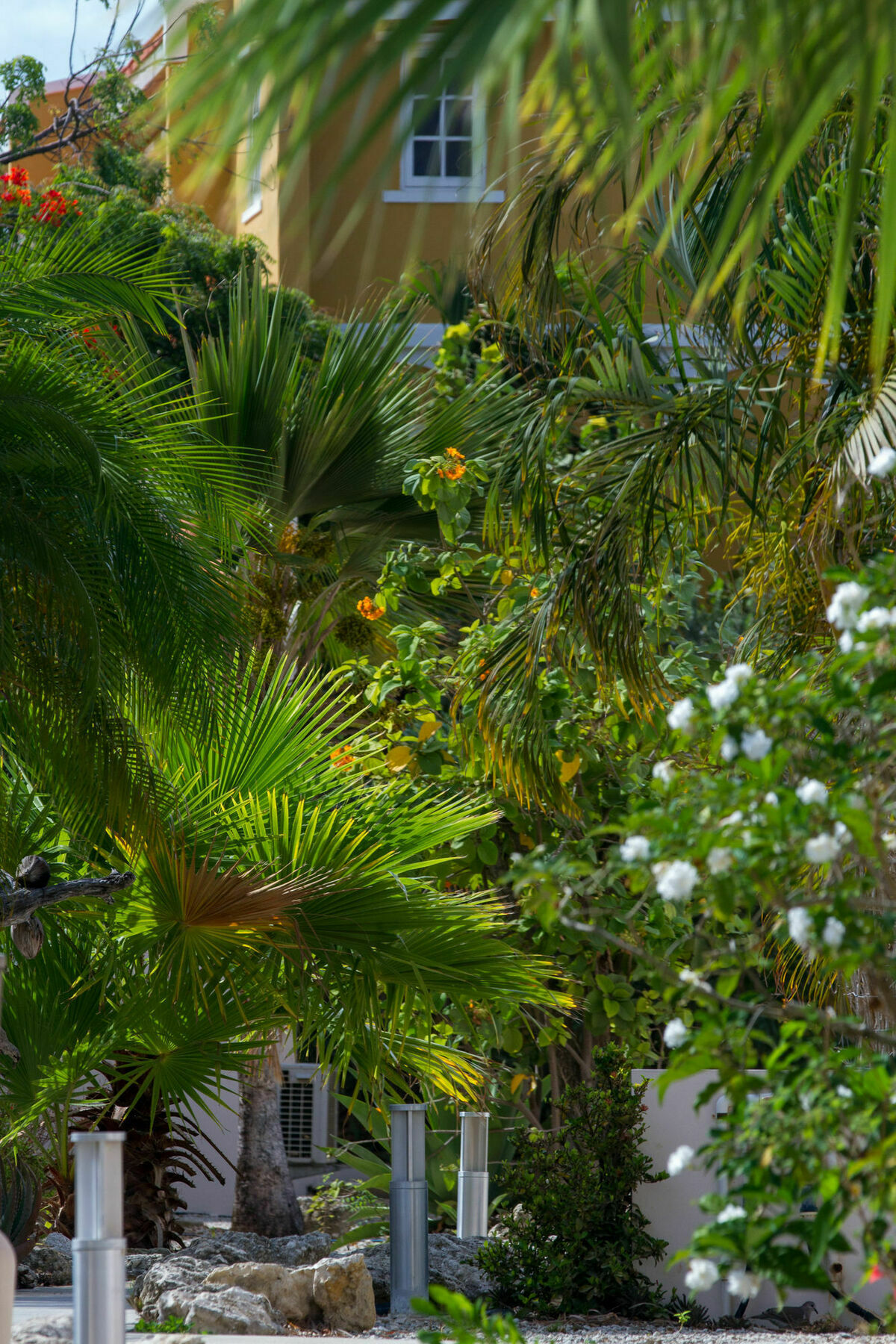 Hamlet Oasis Resort Kralendijk  Bagian luar foto